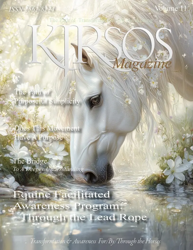 Kjrsos Magazine Volume 11